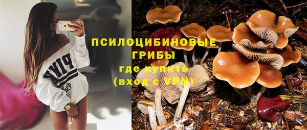 гидропоника Абаза