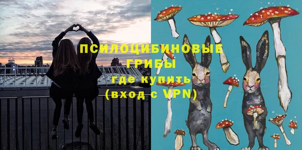 гидропоника Абаза