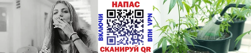 магазин наркотиков shop телеграм Каннабис план Черногорск